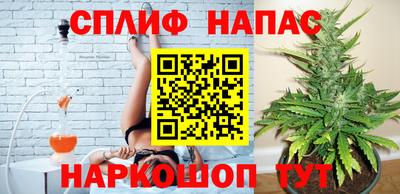 дмт Пенза